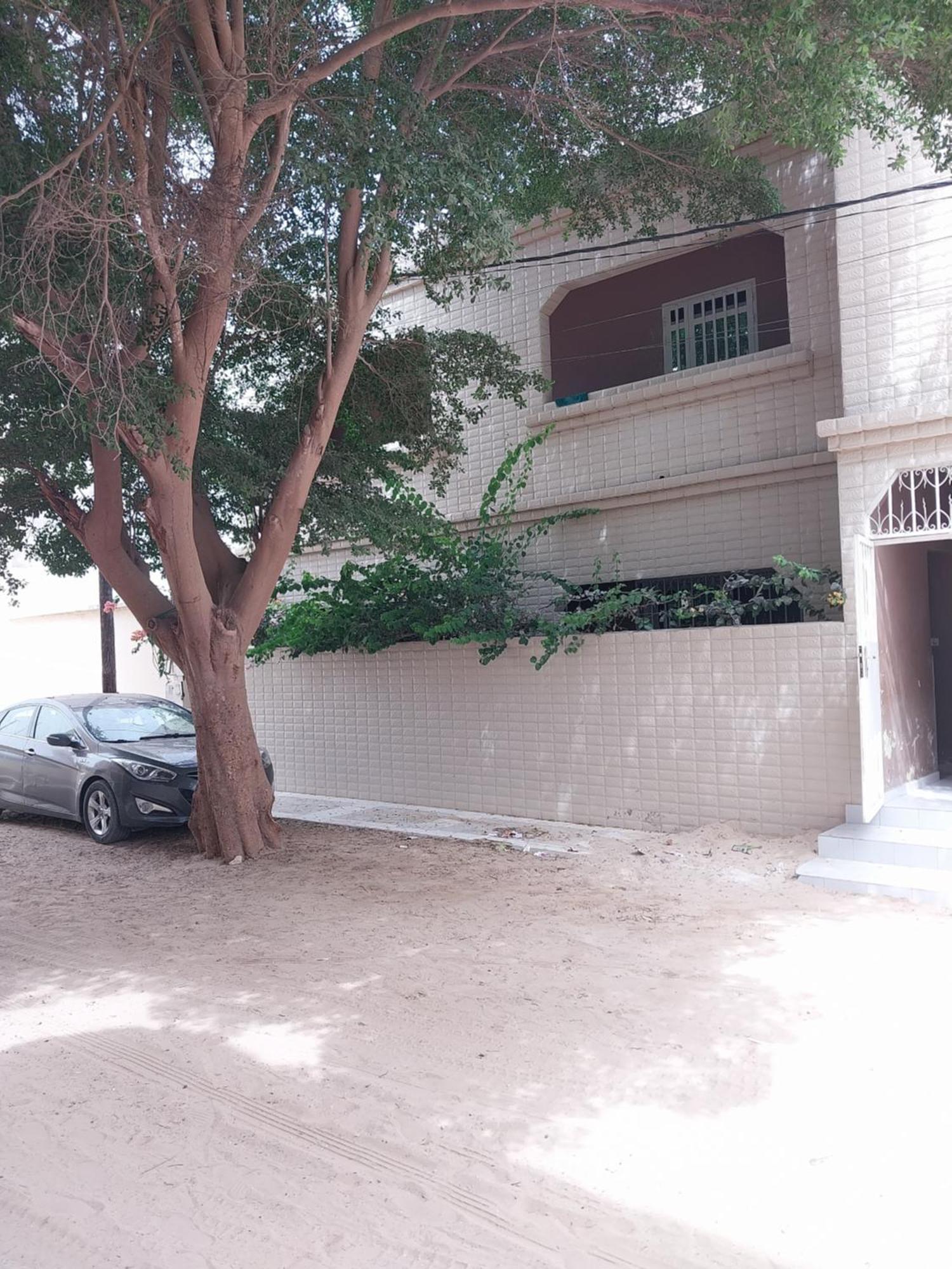 Chez Ousmane Fall Asecna แซ็ง-ลุย ภายนอก รูปภาพ